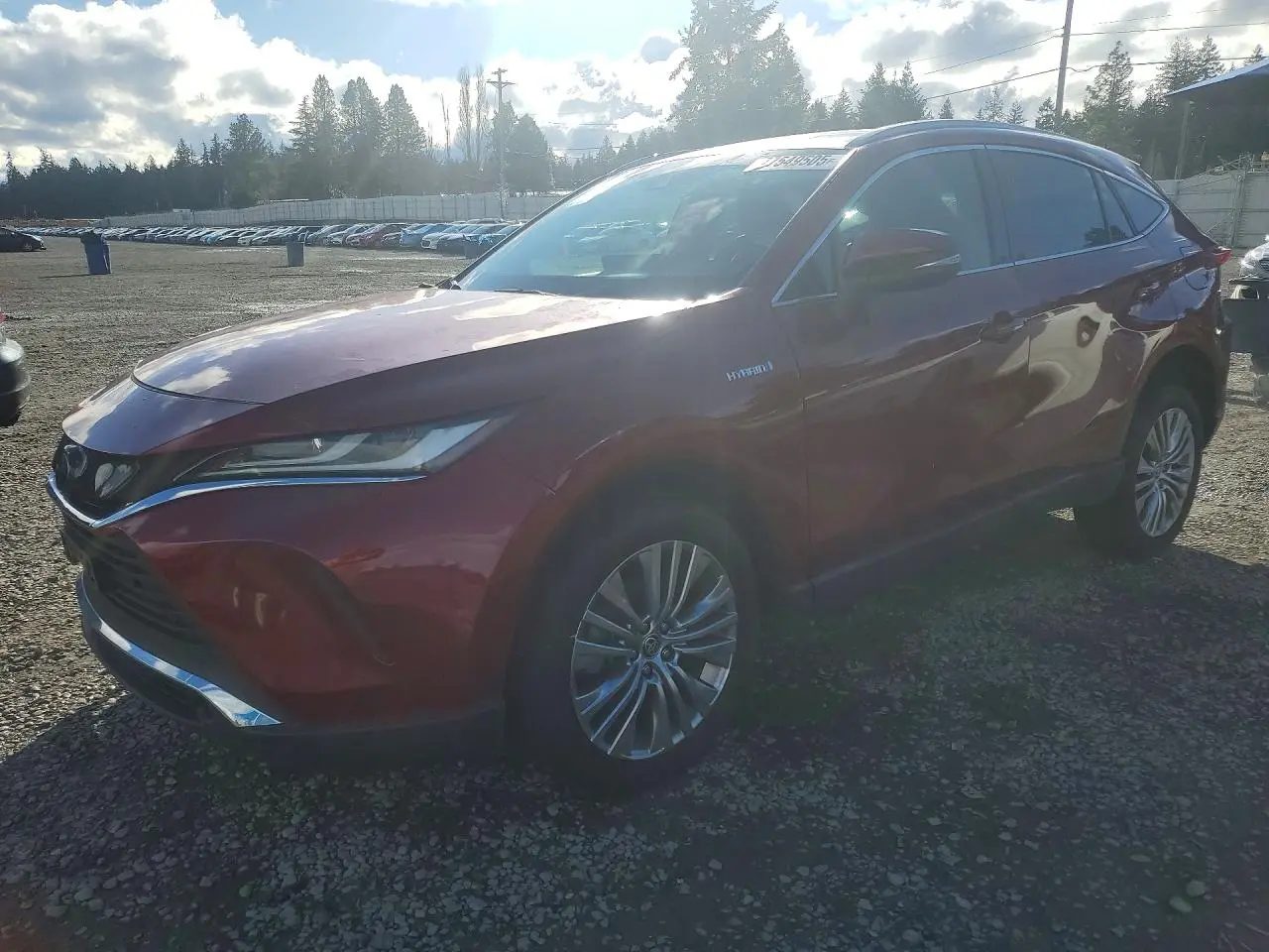 Toyota Venza